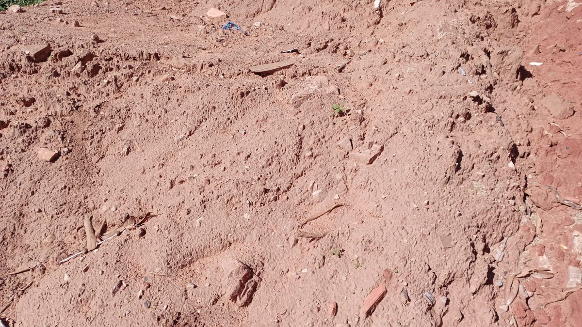 ARENA GORDA p/ Relleno de Terrenos