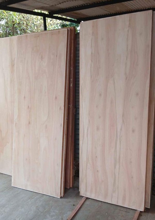 Puerta Placa 60, 70, 80  y 90 cm