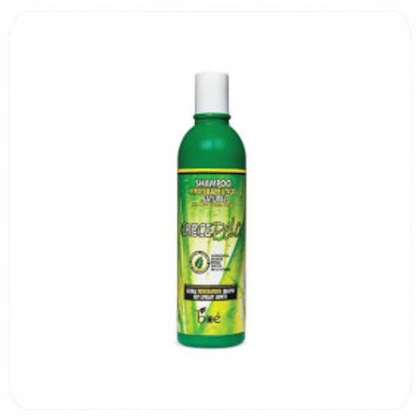 Champú Fitoterapéutico Estimulante 370ml