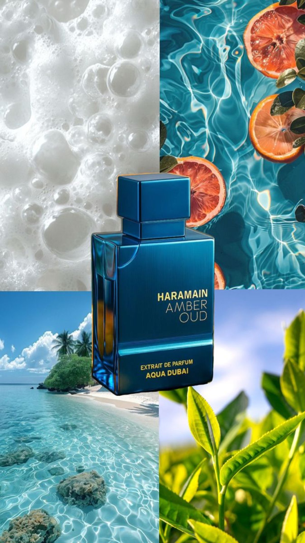 Al Haramain Aqua Dubai  - 2