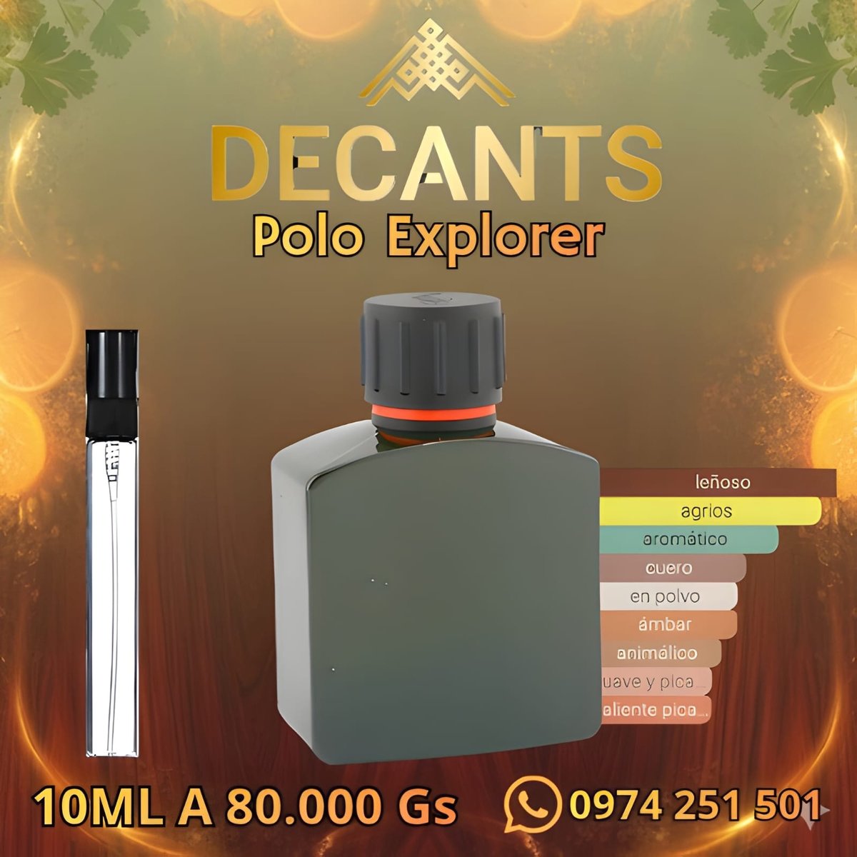 POLO EXPLORER
