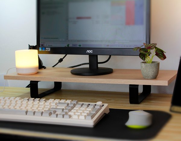 Elevador de Monitor Ergonómico