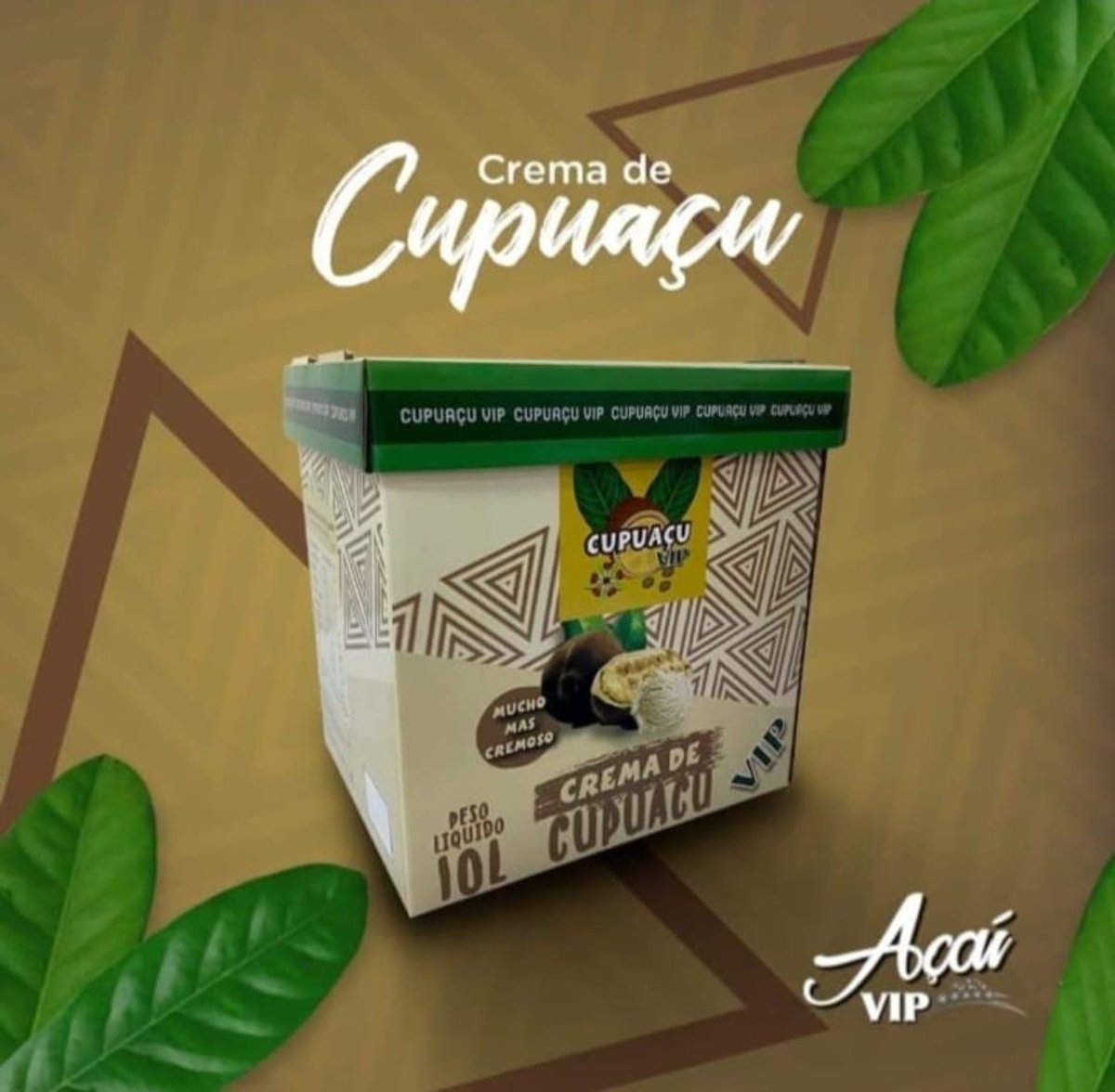 Crema helada de cupuaçu vip de 10 litros