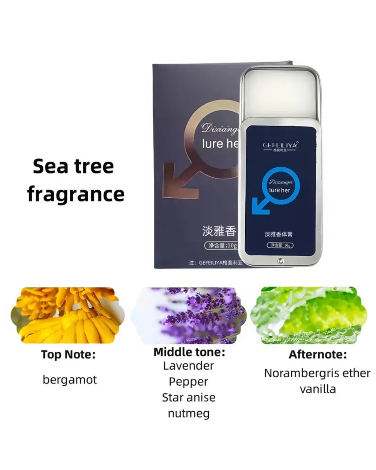 🔹 Perfume Sólido para Hombre – con Fragancia Fresca y Frutal - 3