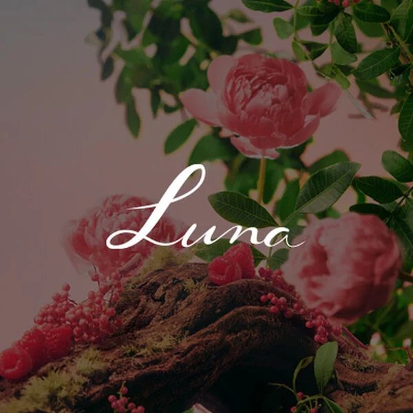Luna