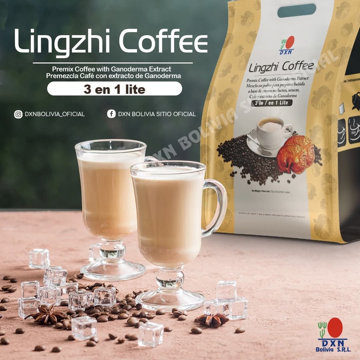 Linzhi coffe litte