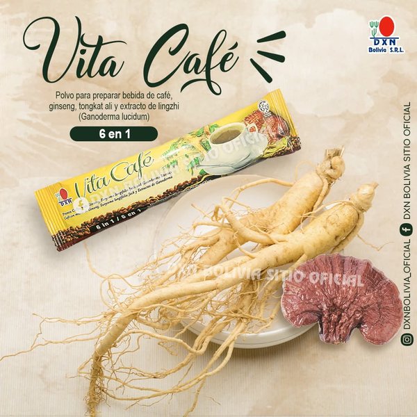 Vita cafe 