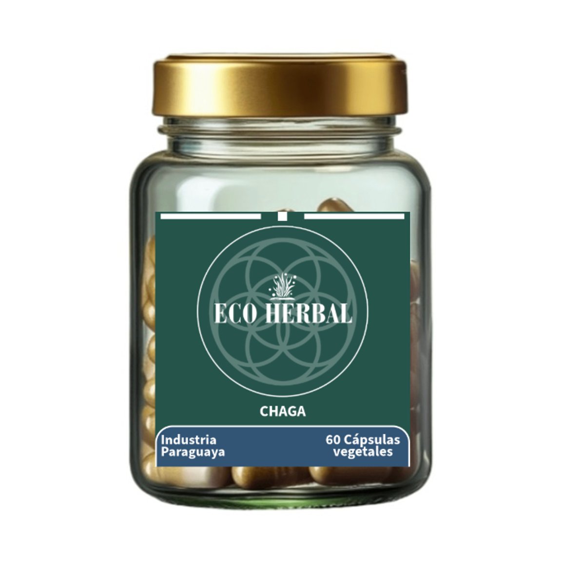 Chaga 500mg