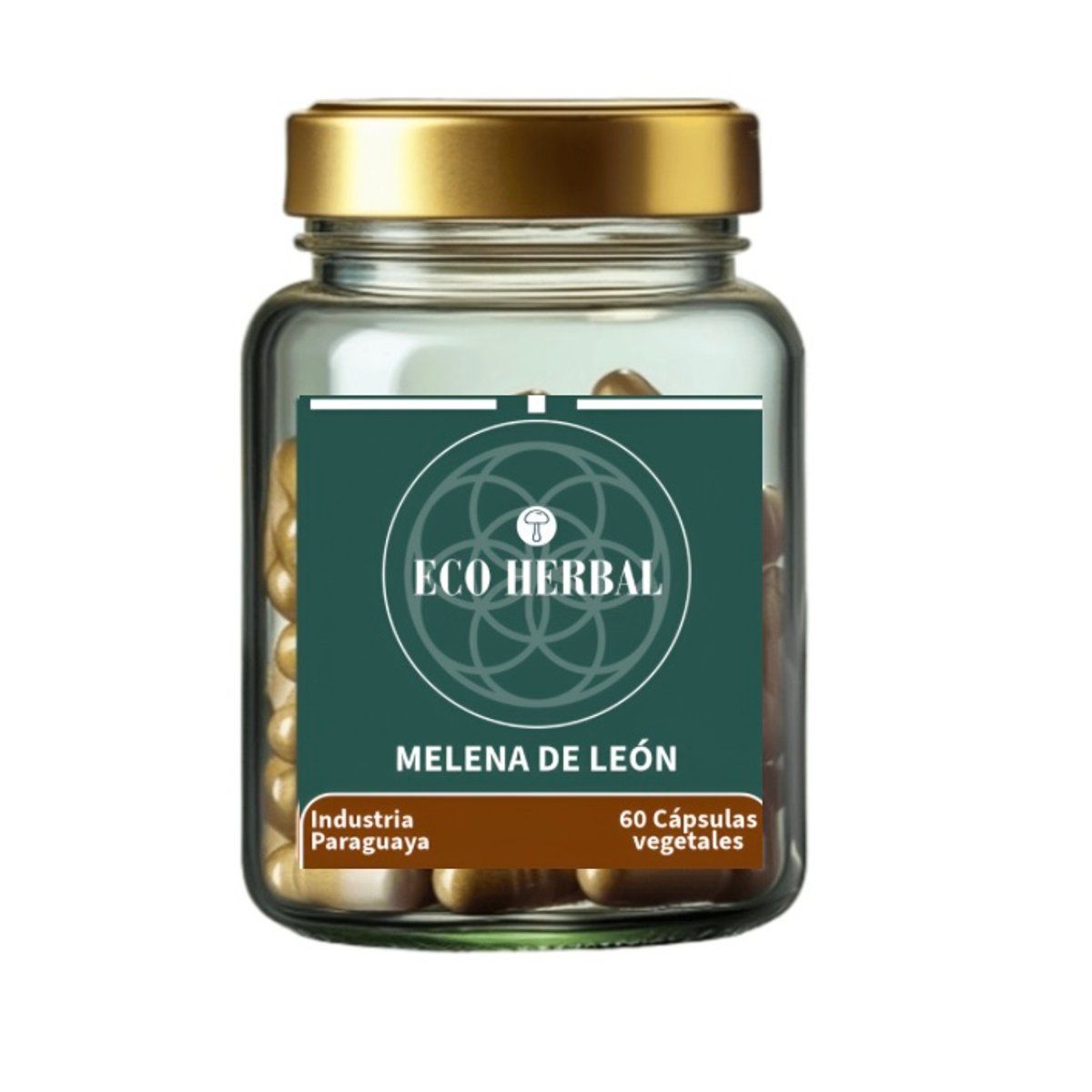 Melena de León 500mg 