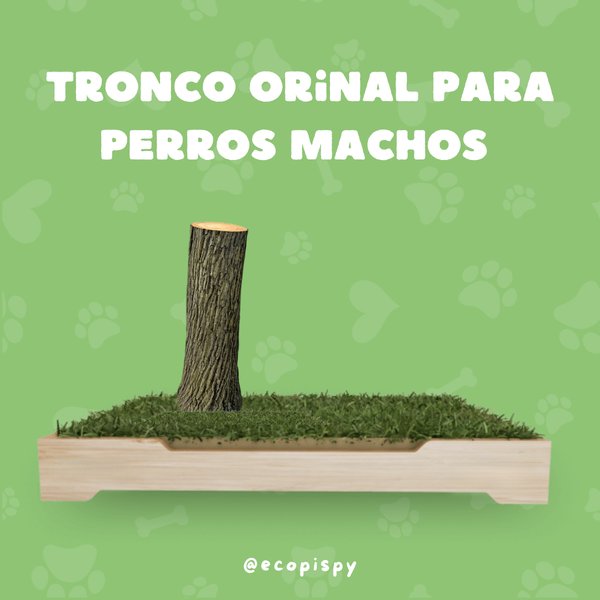 Tronco orinal para perros machos