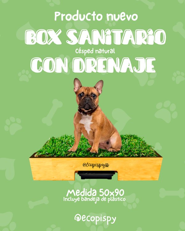 Box con drenaje