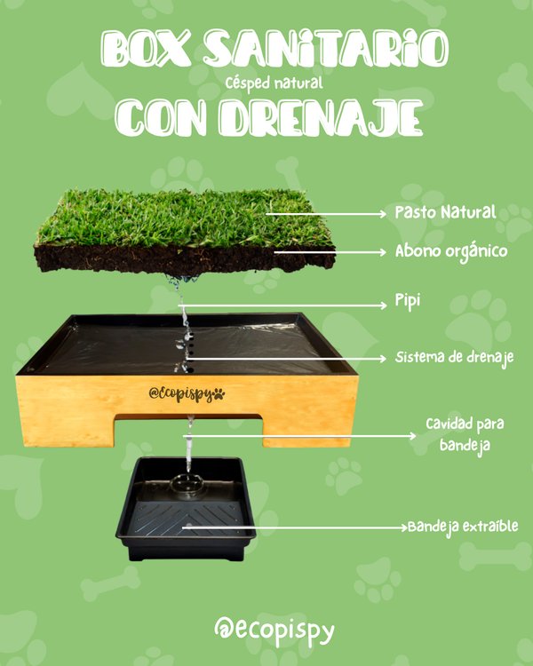 Box con drenaje