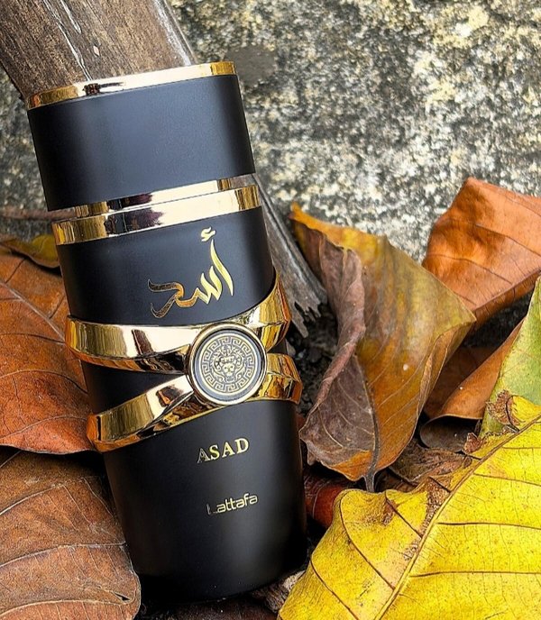 Asad Lattafa Perfumes para Hombres