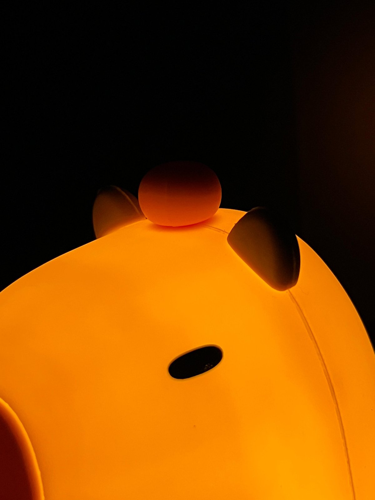 Lámpara Capibara (16cm) - 4