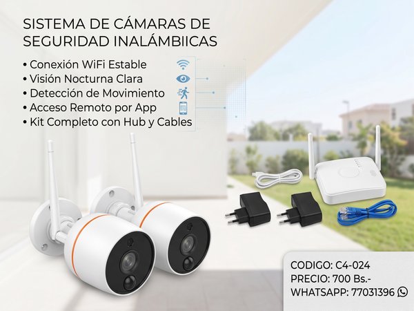 Seguridad y Vigilancia