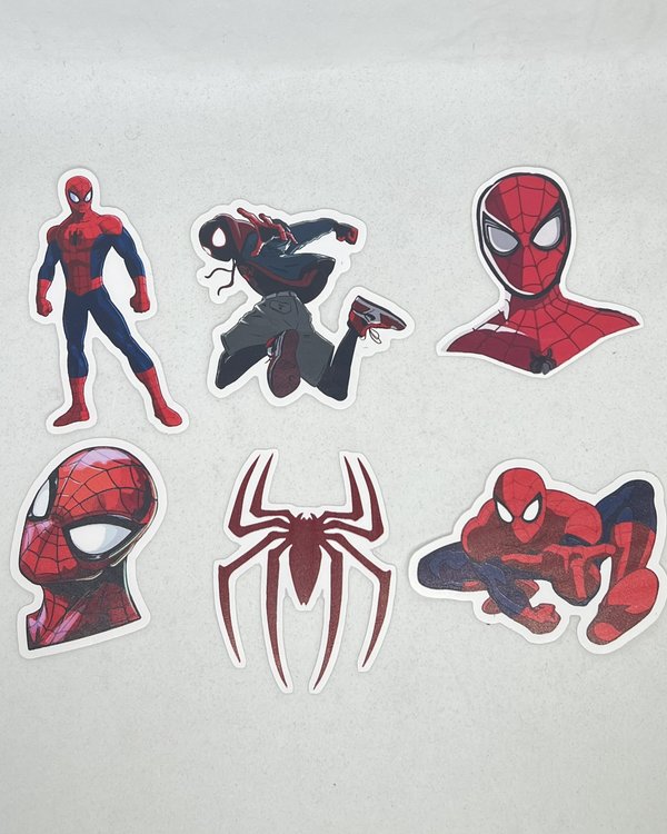 Pack x6 Stickers Impermeables 💦🎨