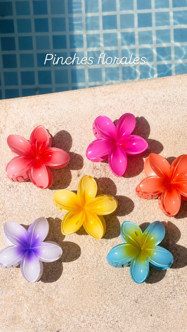 PINCHES HAWAIANAS 🌺