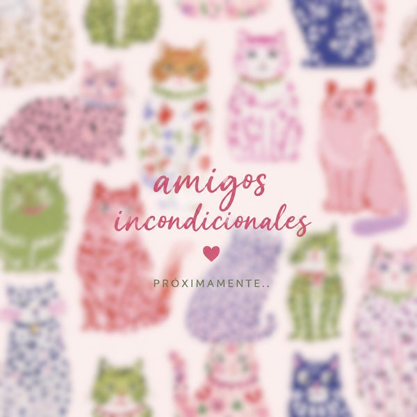 Conjunto largo- MICHI AMIGOS KIDS 💐