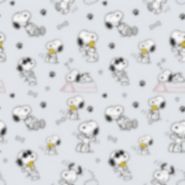 Conjunto largo- SNOOPY 