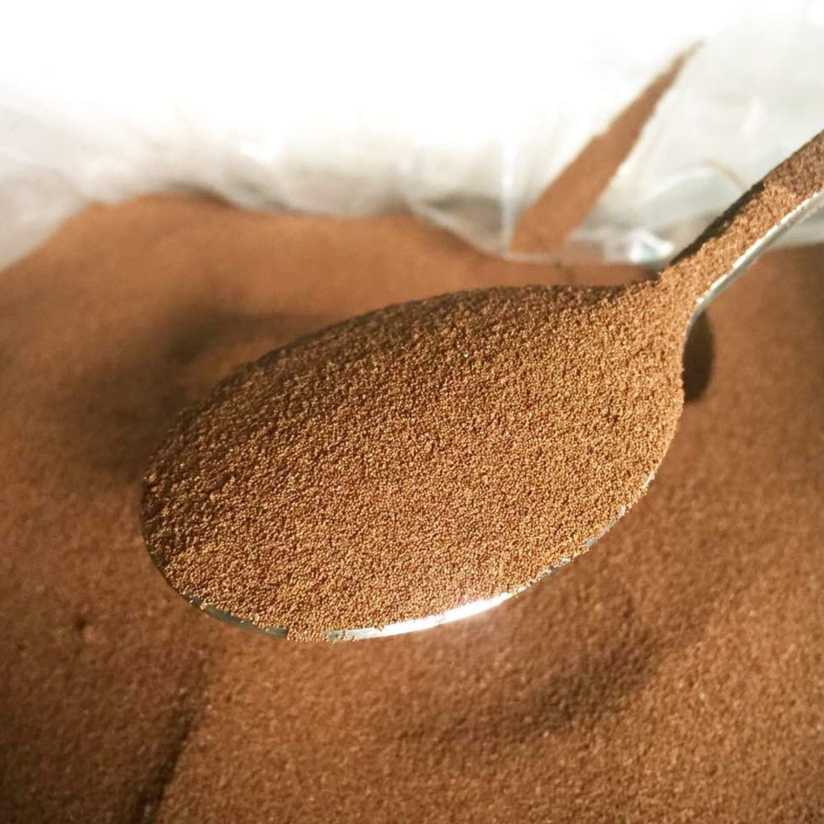 Huevos De Artemia Salina Para Eclosionar ( 10 g )