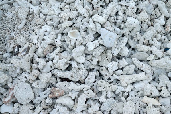 Grava Coralina – Sustrato Decorativo para Acuarios Marinos