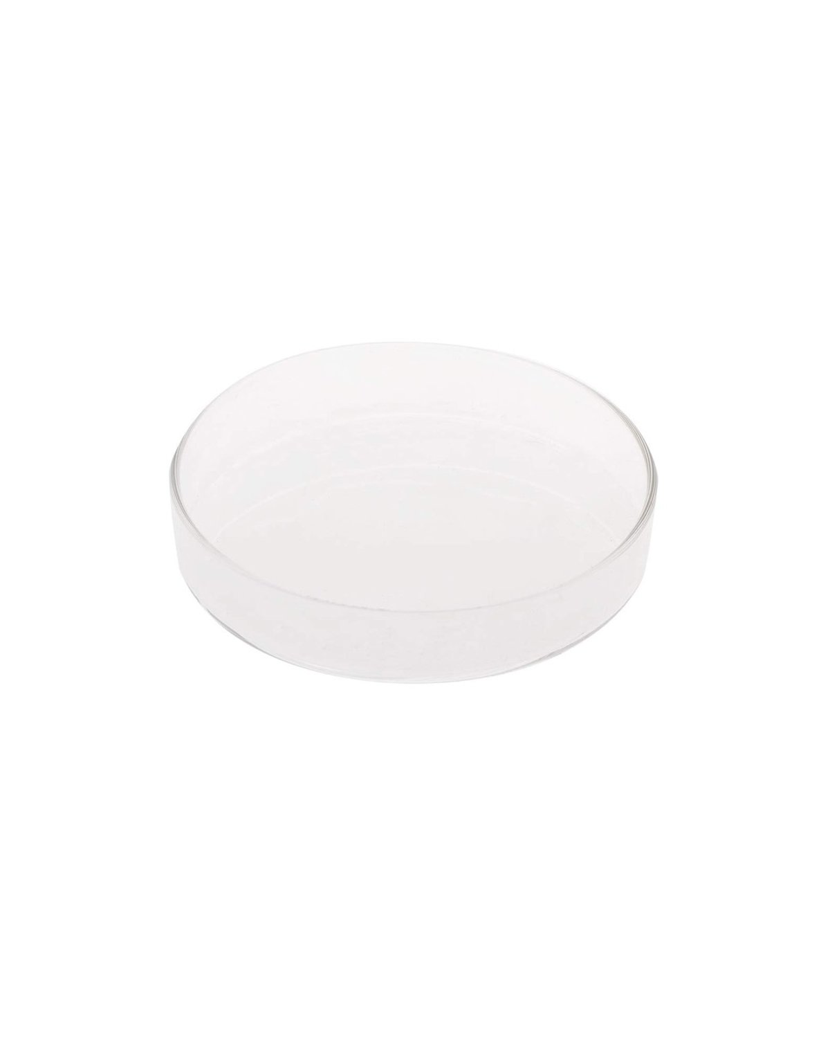 Comedero para Invertebrados