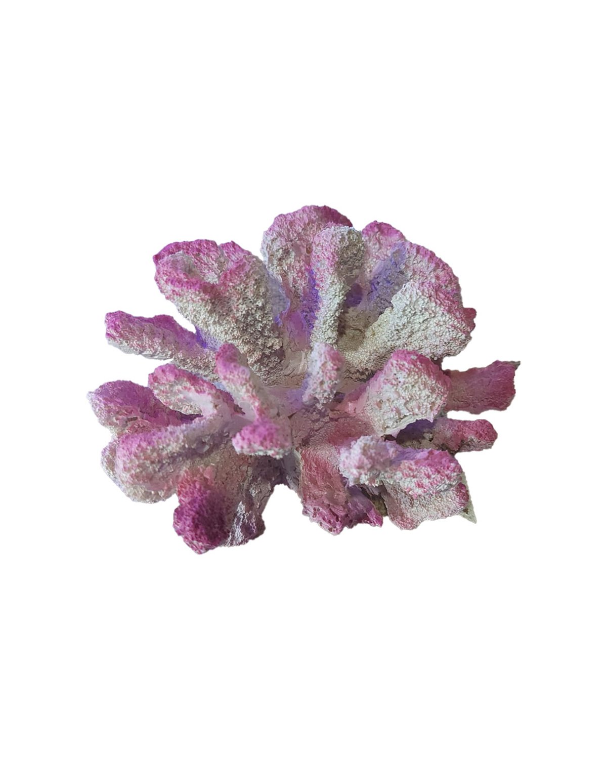 Decoraciones de Cerámica