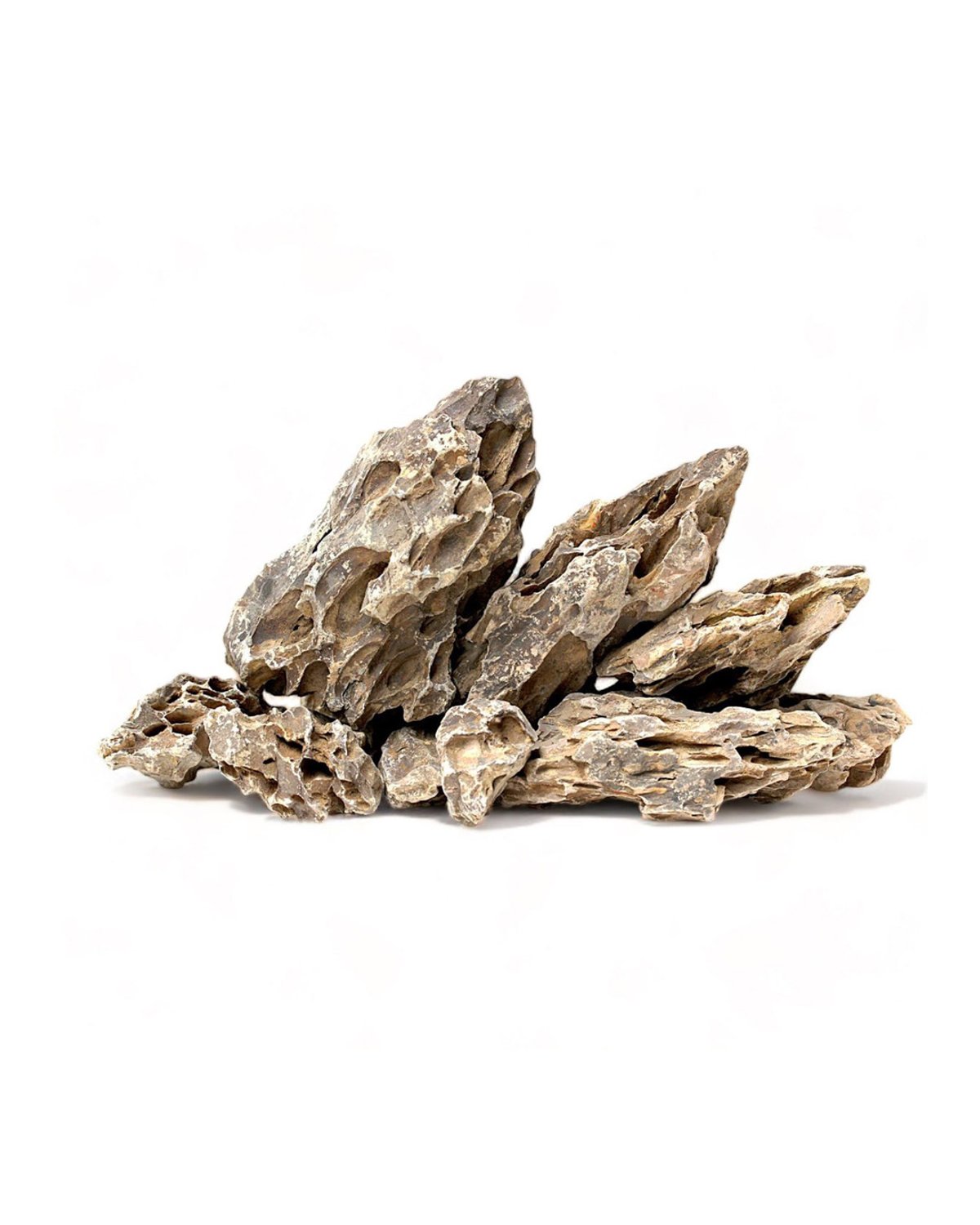 Roca dragón (Sujeto a variación)