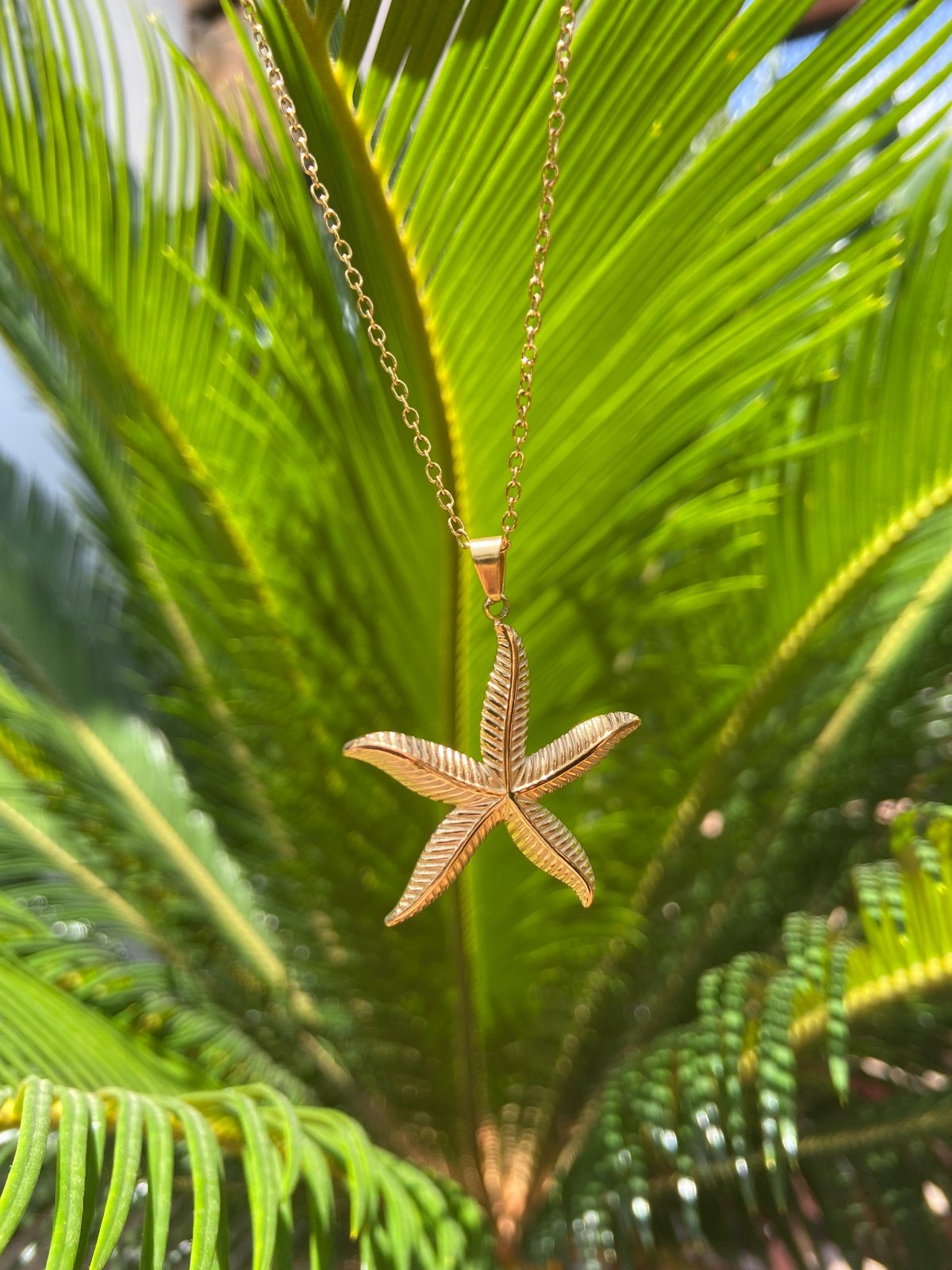 Collares Marinos - 2