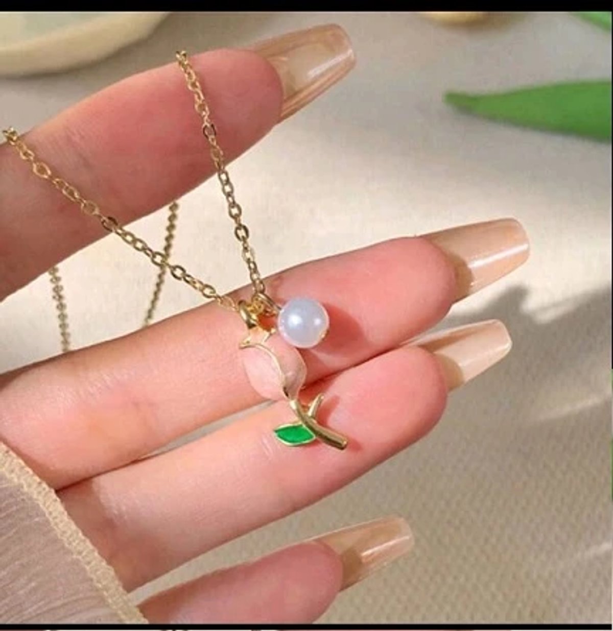 Tulipán rosa tradicional - 2