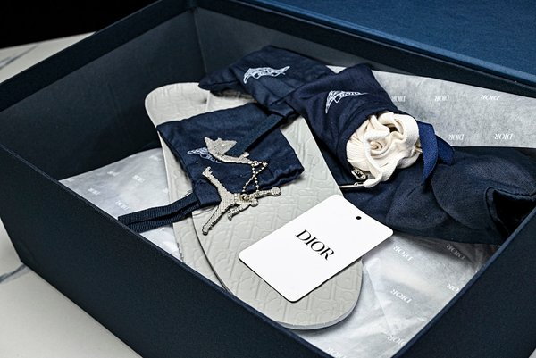 AIR JORDAN 1 HIGH x DIOR