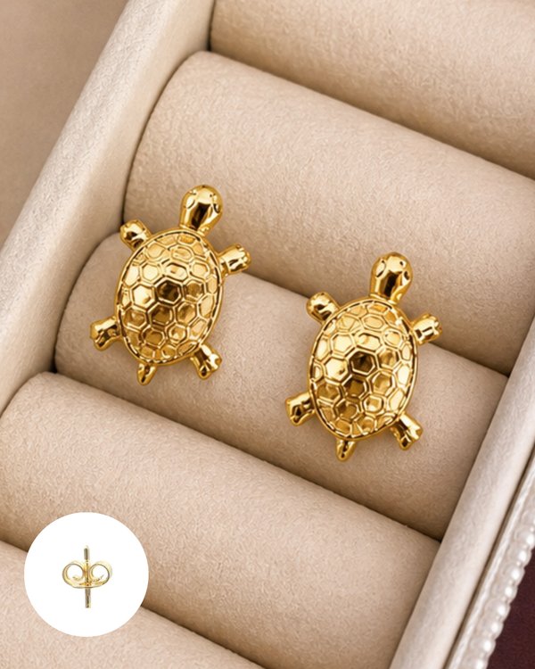 Piercing tortoise