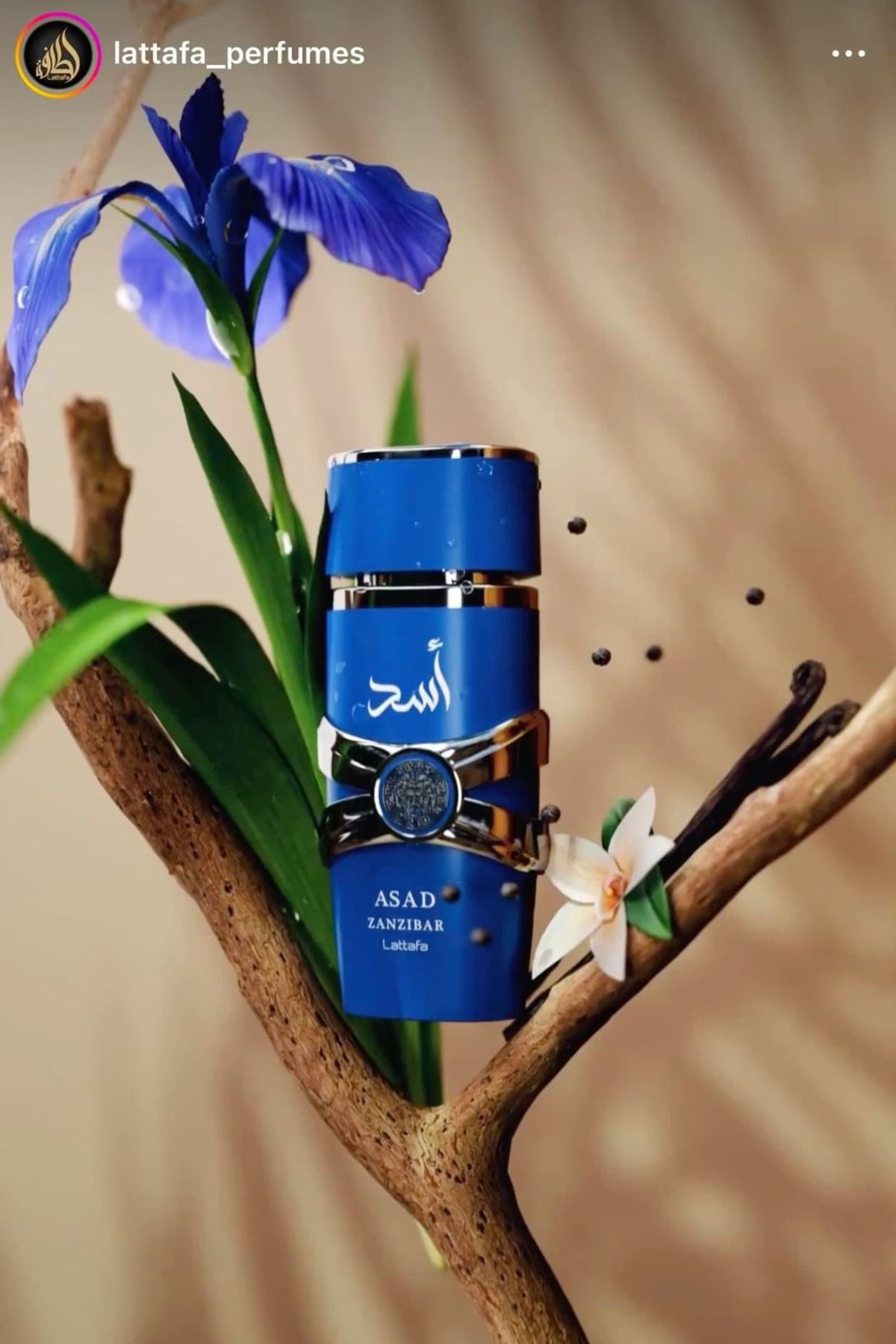 Perfume árabe Asad Zanzibar - 3