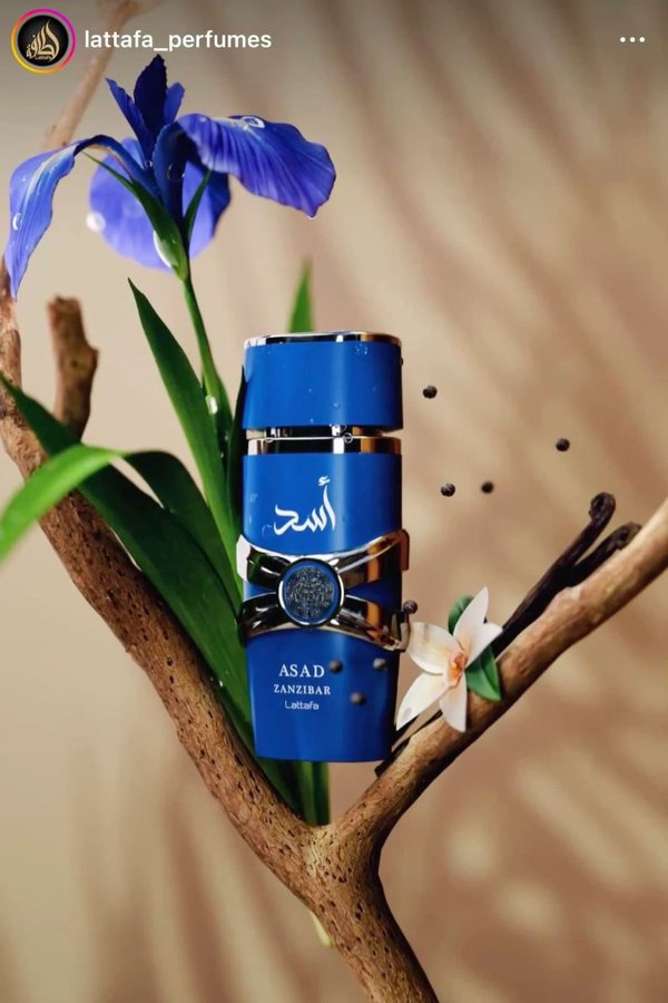 Perfume árabe Asad Zanzibar