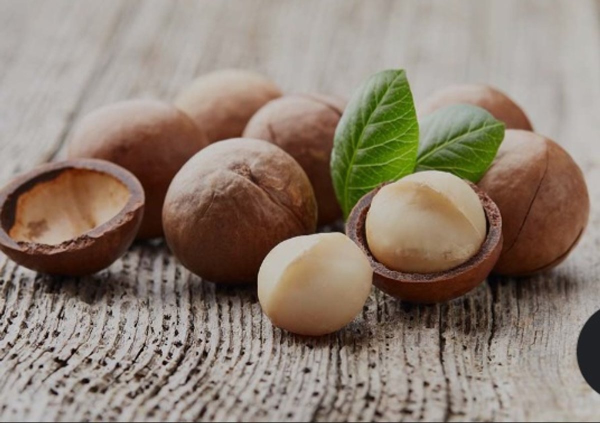 Nuez de Macadamia 250gr