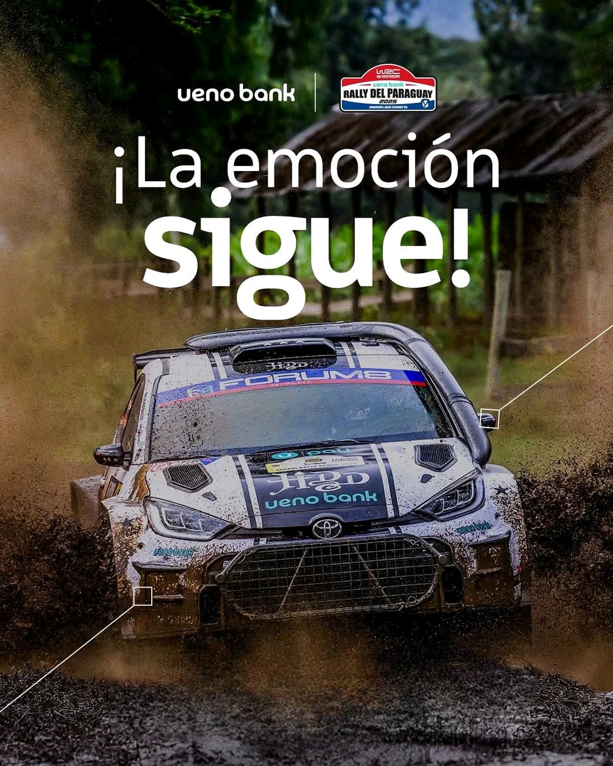 DESCUENTO 40% TODAS LAS EDICIONES WRC