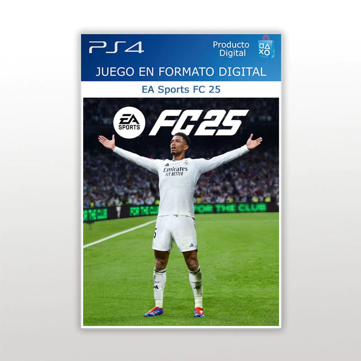 FC 25 PS4