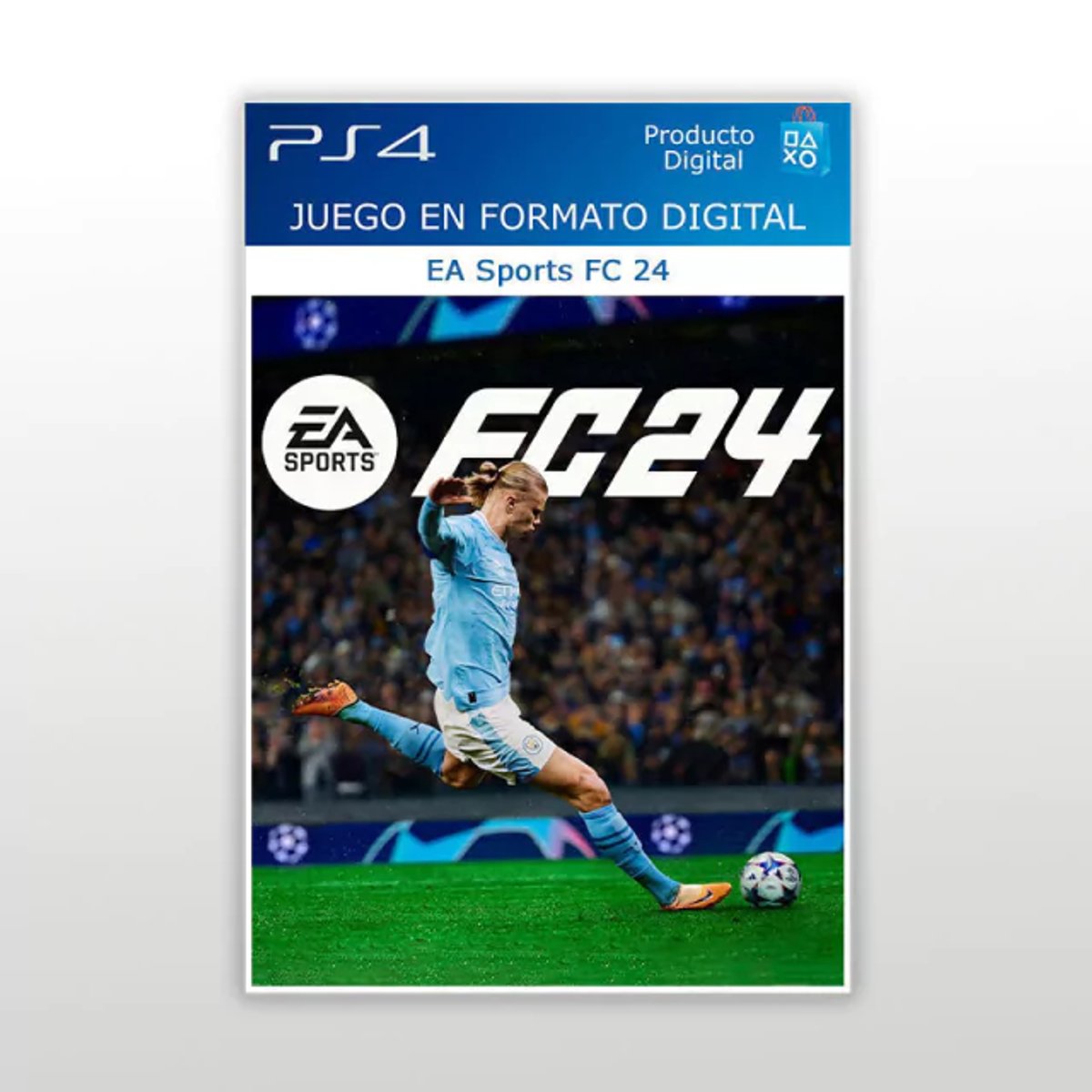 FC 24 PS4 