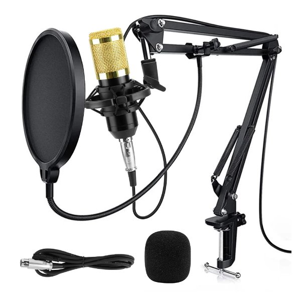Kit de Micrófono Profesional con filtro 
