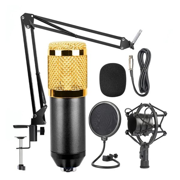 Kit de Micrófono Profesional con filtro 
