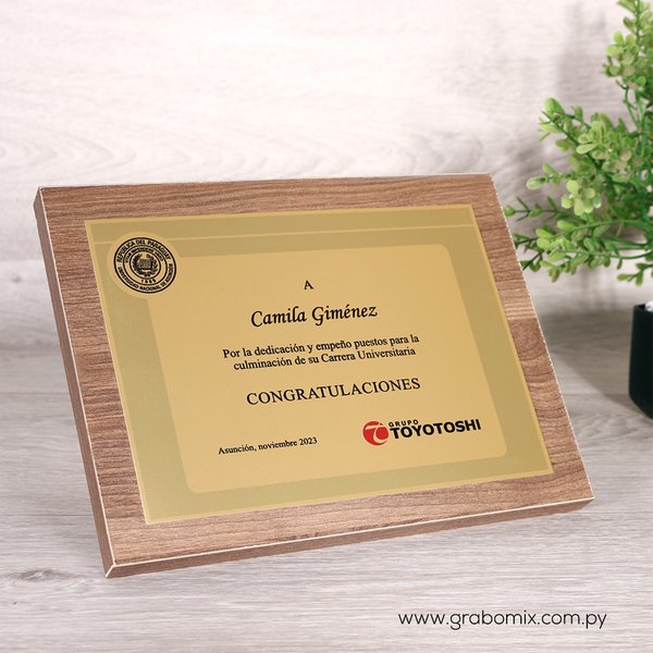 placa