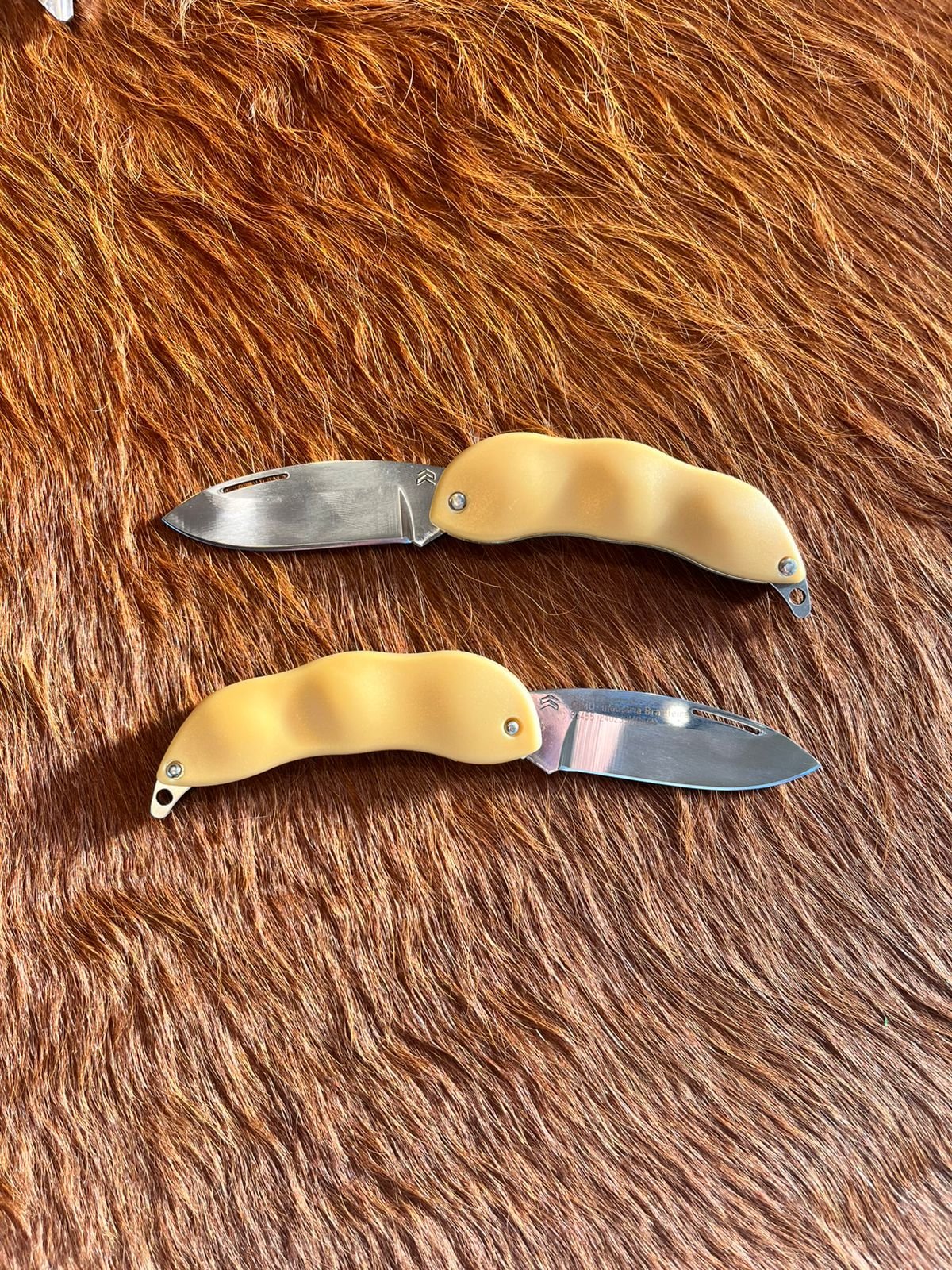 Navaja Cimo Bagha de Soja Inox - Mango Inox Abs Dorado com Vaina Marrom