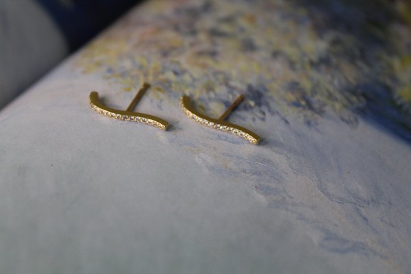 Aro curvo con zirconeas