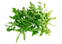 Rucula