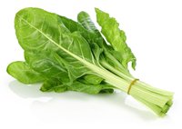 Acelga