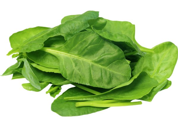 Espinaca