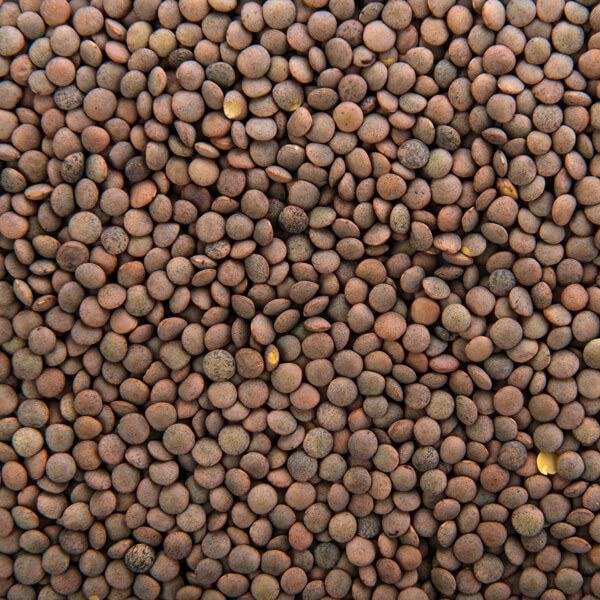 Lentejas de 400 gr