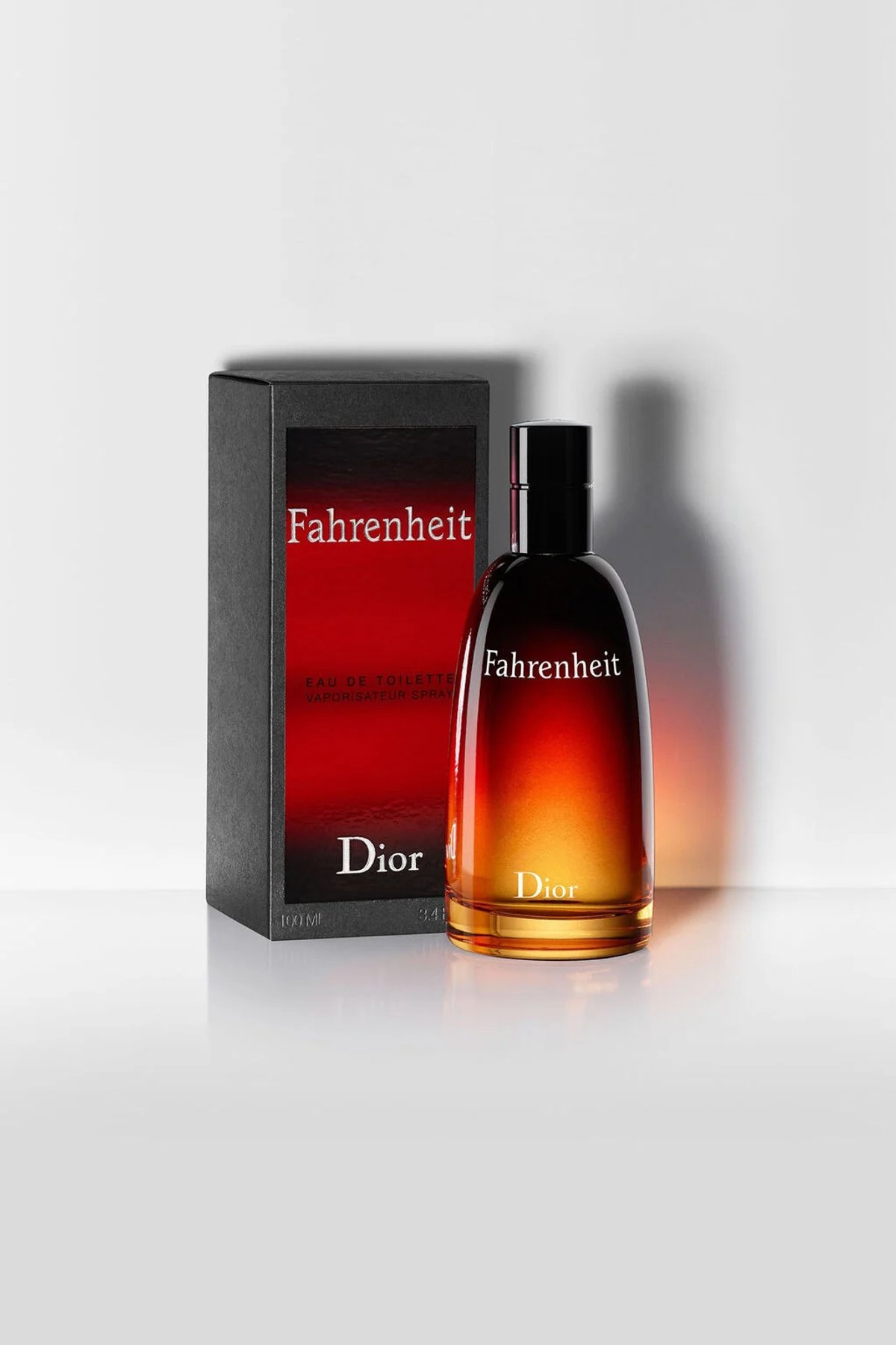 DIOR FAHRENHEIT EDT 100 ML - 2