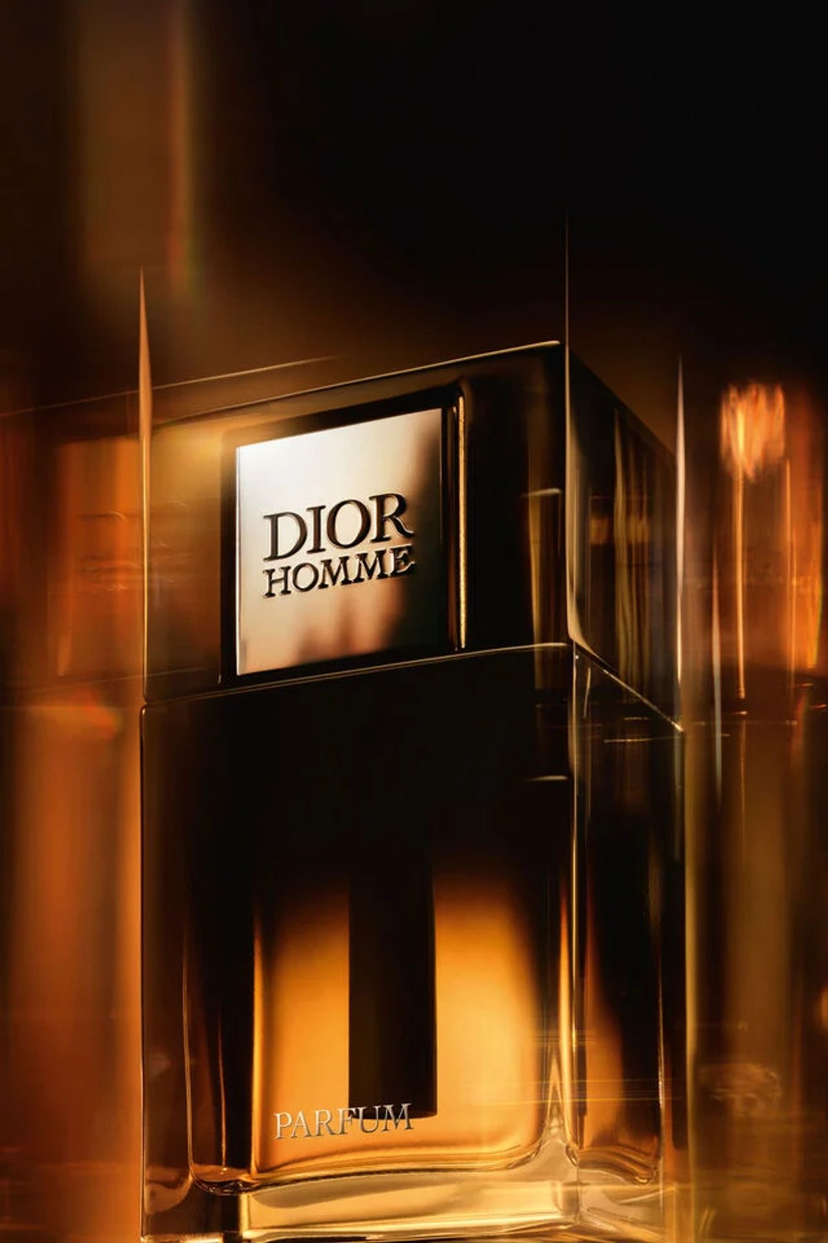 DIOR HOMME PARFUM 75 ML - 2