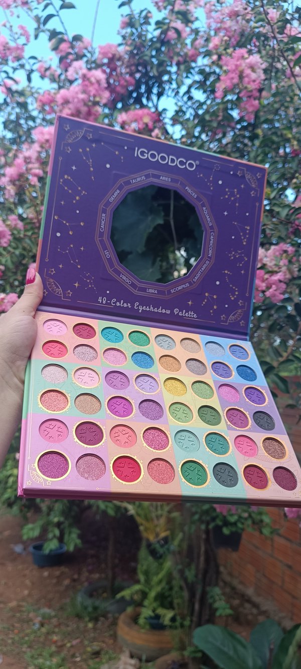Paleta de Sombras Igoodco 